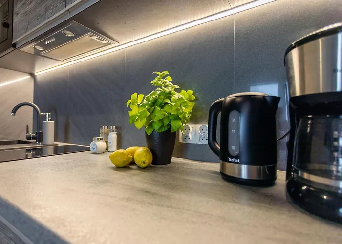 Aurora Auf Der Insel Usedom By Interhome Appartement Świnoujście